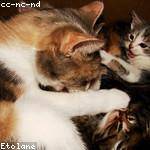 Bella Cremin Profile Picture