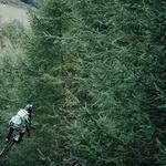 Harvey Turner Profile Picture