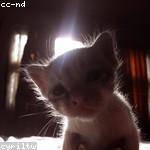 Emory Lesch Profile Picture