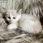 Margarett Hermiston Profile Picture