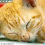 Winifred Volkman Profile Picture