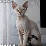 Brittany Weber Profile Picture