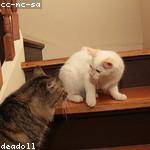 Hilbert Gottlieb Profile Picture