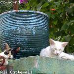 Lauretta Barton Profile Picture