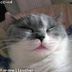 Daniela Nitzsche Profile Picture