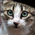 Imogene Davis Profile Picture