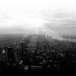 Camden Jenkins Profile Picture