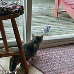 Ally Kuvalis Profile Picture