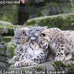 Lawrence Hodkiewicz Profile Picture