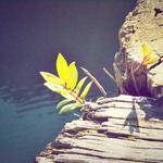 Abel Rau Profile Picture