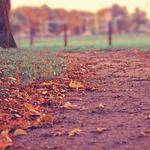 Ollie Pacocha Profile Picture