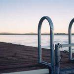 Vena Considine Profile Picture