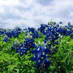 Julian Pouros Profile Picture