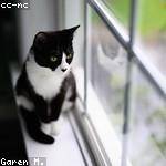 Milan Cormier Profile Picture