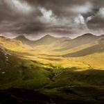 Riley Olson Profile Picture