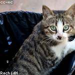 Stacey Kshlerin Profile Picture