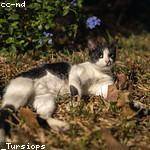 Raymundo Heaney Profile Picture