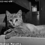 Mabel Carroll Profile Picture