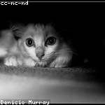 Sophie Streich Profile Picture