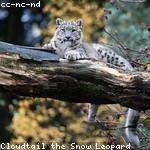 Letha Wuckert Profile Picture