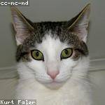 Myles Considine Profile Picture