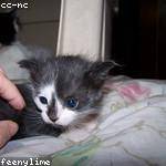 Jarrett Crooks Profile Picture