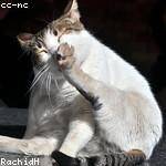 Vicenta McKenzie Profile Picture