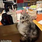 Hadley McClure Profile Picture