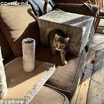 Lucio Barrows Profile Picture