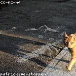 Otho Botsford Profile Picture