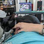 Marquis Ziemann Profile Picture