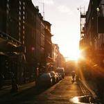 Mandy Koss Profile Picture