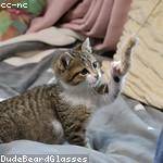 Jazmyne Reichel Profile Picture