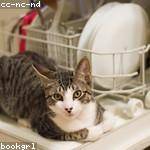 Clarabelle Cassin Profile Picture