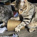 Vivien Blanda Profile Picture