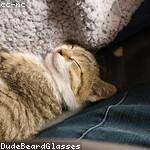 Kasey Kuvalis Profile Picture