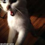 Maximus Kemmer Profile Picture