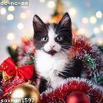 Maureen Hickle Profile Picture