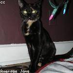 Frances Bosco Profile Picture