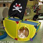 Kyla Hirthe Profile Picture