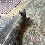 Bart Gusikowski Profile Picture