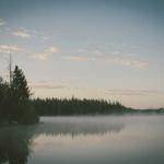 Elenor Becker Profile Picture