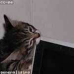 Sienna Bahringer Profile Picture