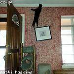 Ona Hessel Profile Picture