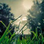 Maureen Breitenberg Profile Picture