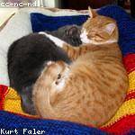 Frederick Heaney Profile Picture