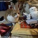 Tania Harber Profile Picture