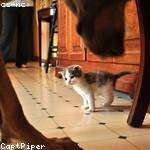 Lia Kunde Profile Picture