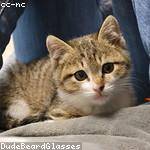 Daisy Kuhic Profile Picture