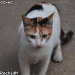 Fritz Gusikowski Profile Picture